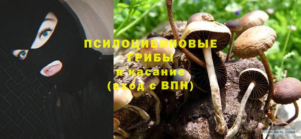 гашишное масло Покачи