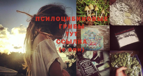 СК Покров