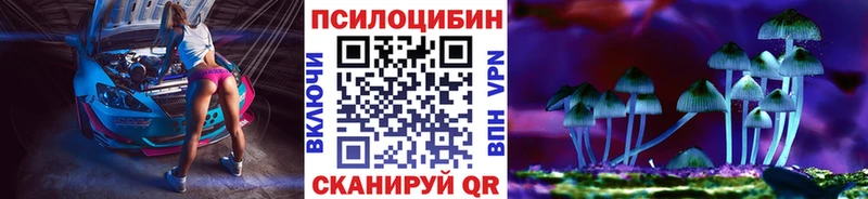 Галлюциногенные грибы Psilocybine cubensis Сурск