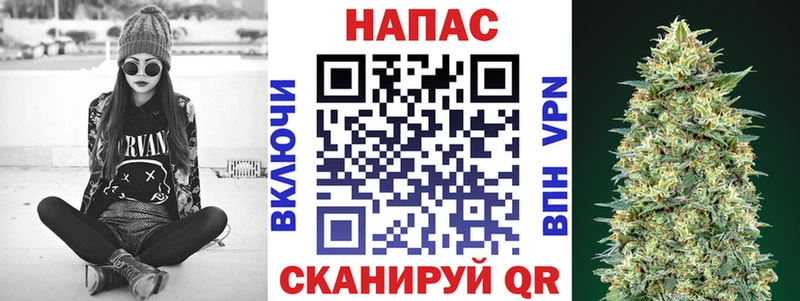 Каннабис индика  Сурск 